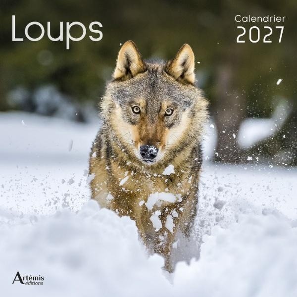 [434731] Calendrier Loups 2027