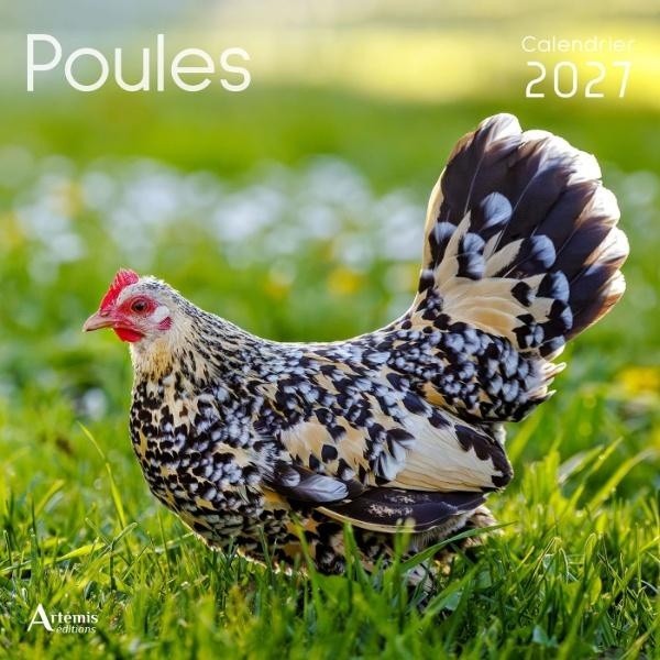 [434718] Calendrier Poules 2027