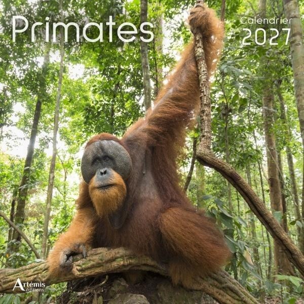 [434717] Calendrier Primates 2027