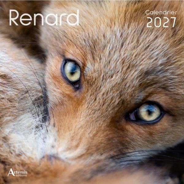 [434713] Calendrier Renard 2027