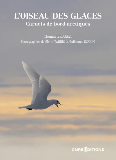 [1055328] L'oiseau des glaces. Carnets de bord arctiques
