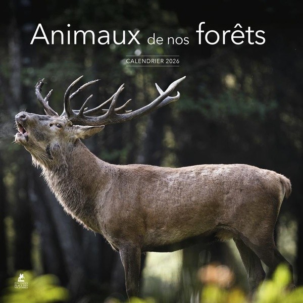 [1055829] Calendrier 2026 - Animaux de nos forêts