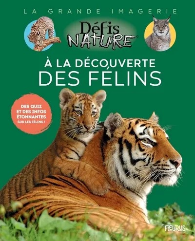 [FS88407] À la découverte des félins