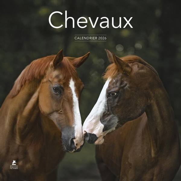 [1055831] CALENDRIER 2026 - CHEVAUX