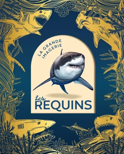 [FS98024] Les requins