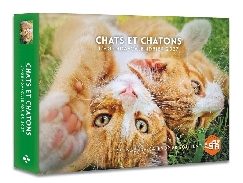 [3172831] Chats et chatons - Agenda - Calendrier - 2027